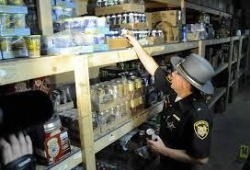 police raid head shop